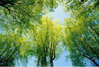 R星有史以来最美的游戏？《GTA6》和《荒野大镖客2》画面对比